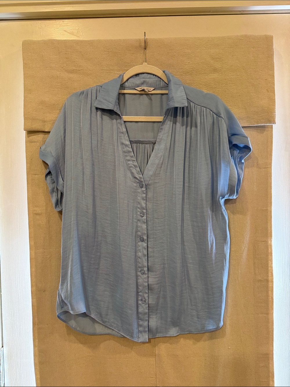 Naked Zebra Light Blue Button-Down V-Neck Blouse